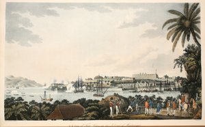 N.E. utsikt over Fort Louis på øya Martinique, illustrasjon fra 